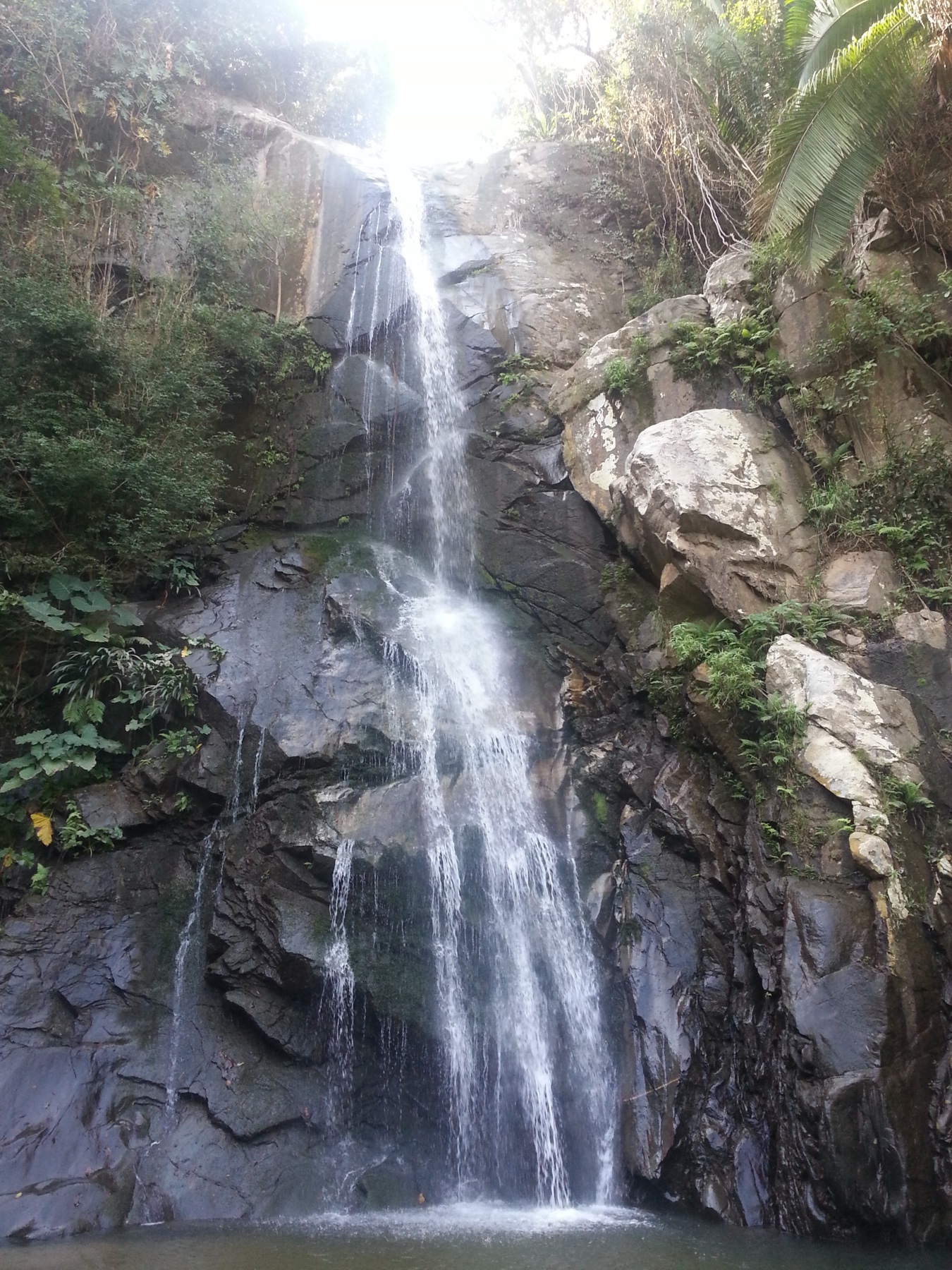 Jungle waterfall pool for a private day trip