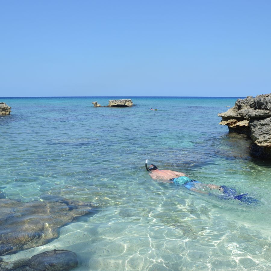 Snorkeling in crystal-clear water